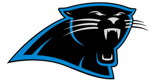 Carolina Panthers Training Camp - GREENVILLE JOURNAL